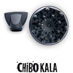 سشوار سیلور کرست مدل SHTR2200F3