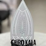 اتو بخار روگن RU1015