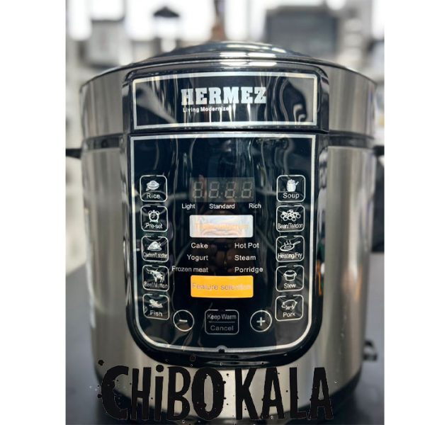 پلوپزدیجیتالی هرمز مدلHM410