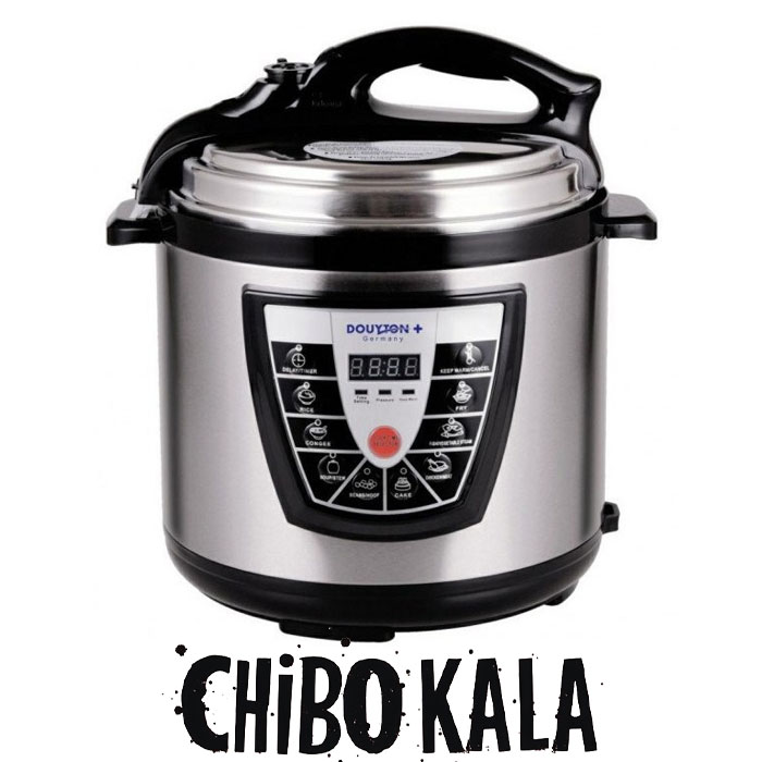 زودپز دایتون پلاس مدلDP701