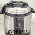 زودپز روگن مدلRU-1420